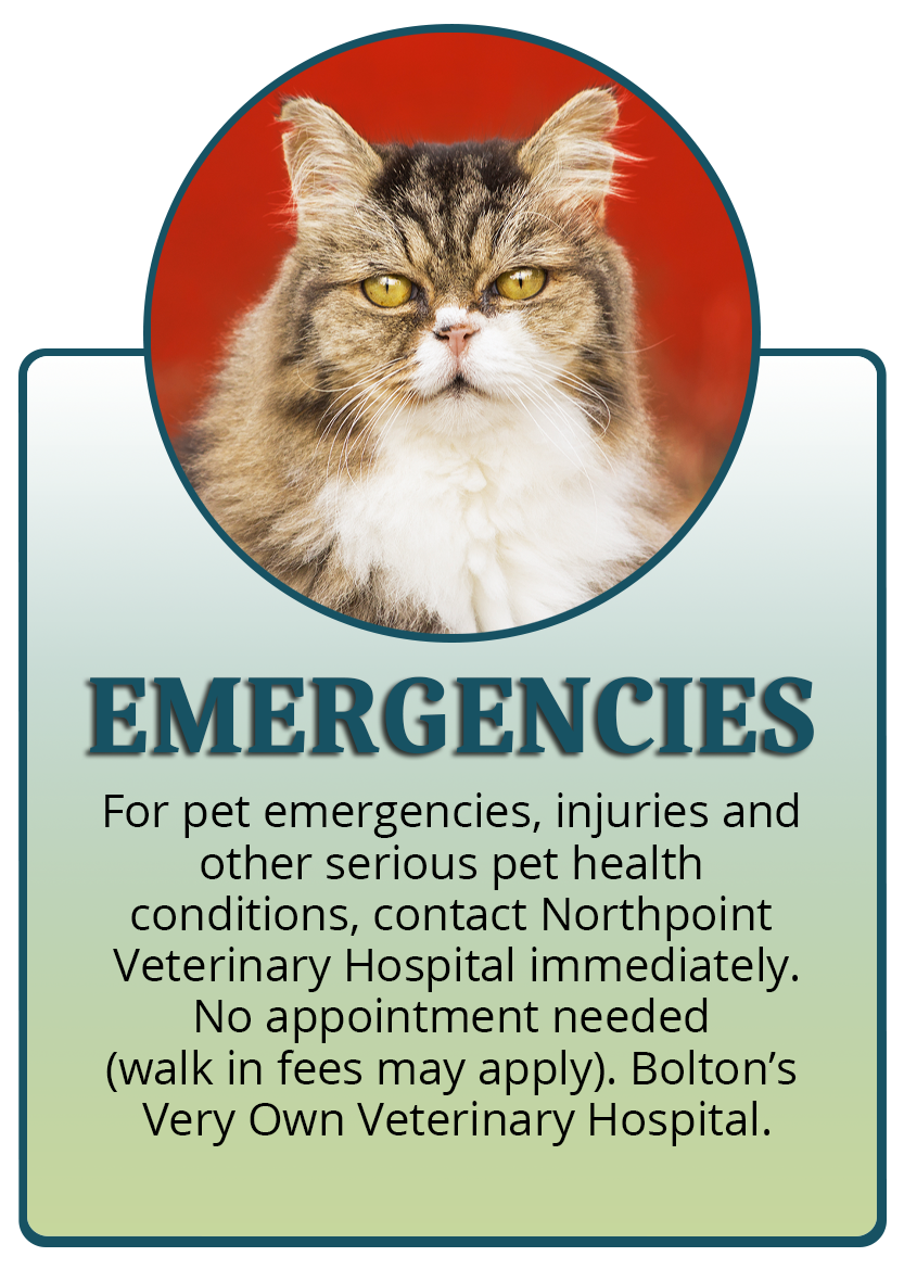 Emergencies Infographic