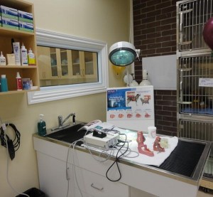 Procedure Area