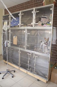 Kennels